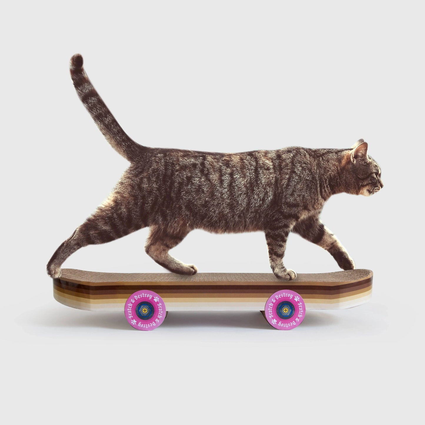 Buy SUCK UK Cat Scratch Skateboard | Cat Toyss at Woven Durham
