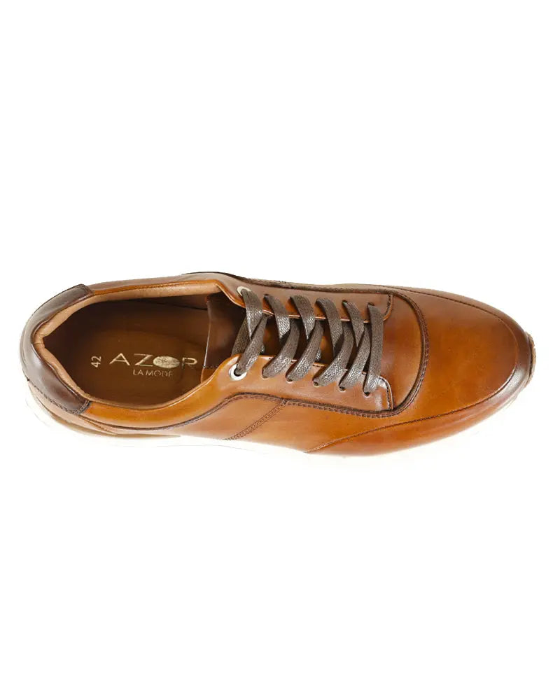 Buy Azor Calabria Leather Trainer - Tan Brown | Trainerss at Woven Durham