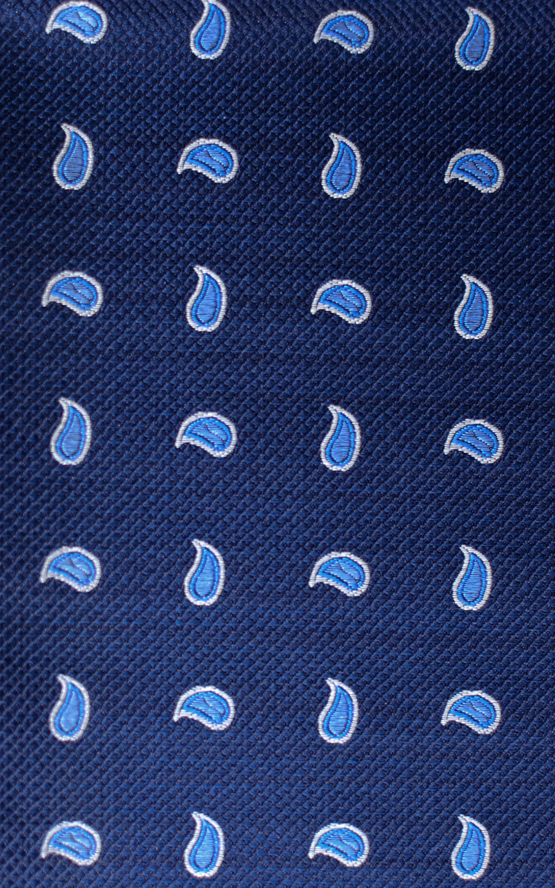 Knightsbridge Neckwear Paisley Silk Tie - Navy / Blue From Woven Durham