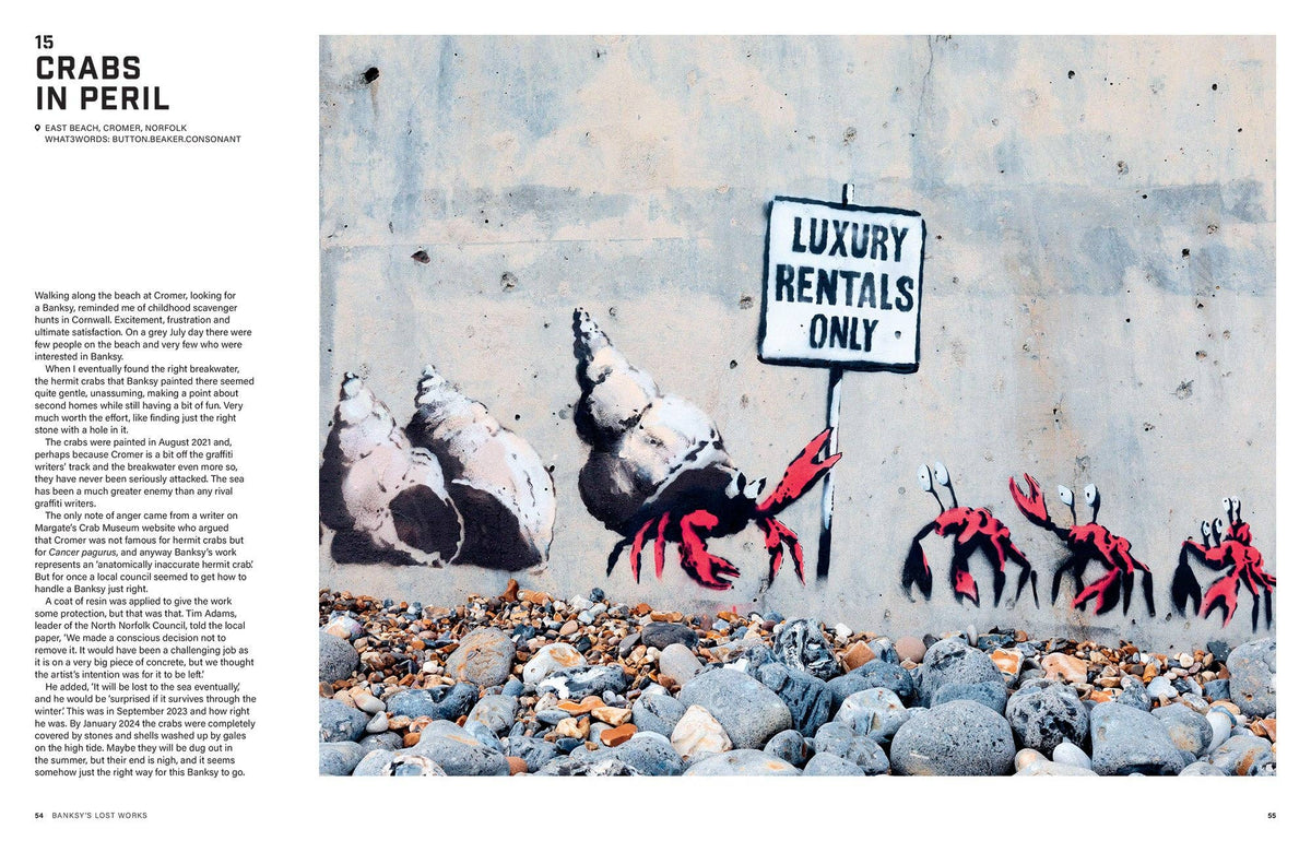 Buy Abrams & Chronicle Books Banksy's Lost Works - On the trail of his vanishing street art (Hardback) | Books at Woven Durham