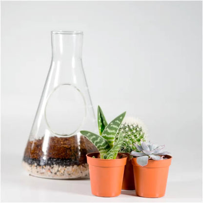 Buy Suck UK Chemistry Terrarium Kit | Terrariums at Woven Durham