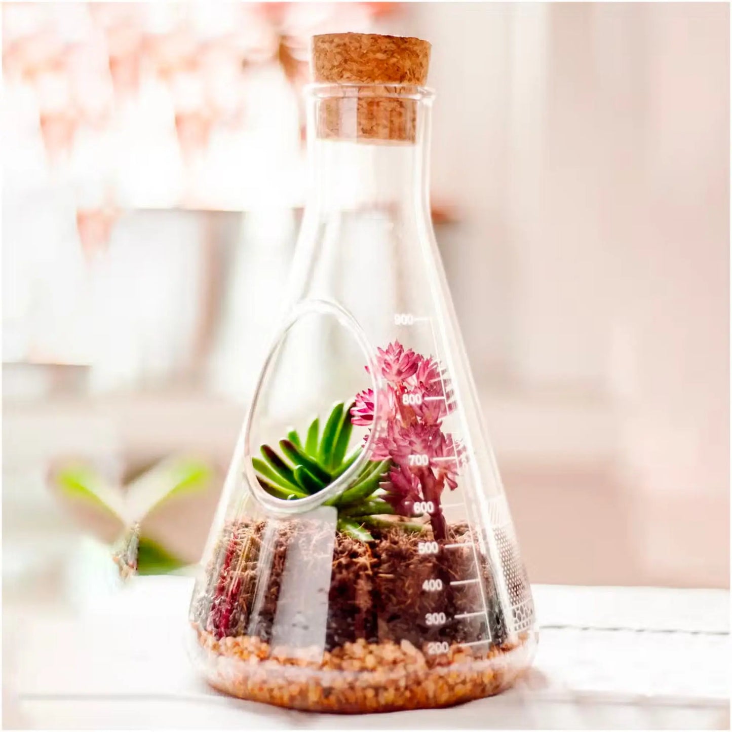 Buy Suck UK Chemistry Terrarium Kit | Terrariums at Woven Durham