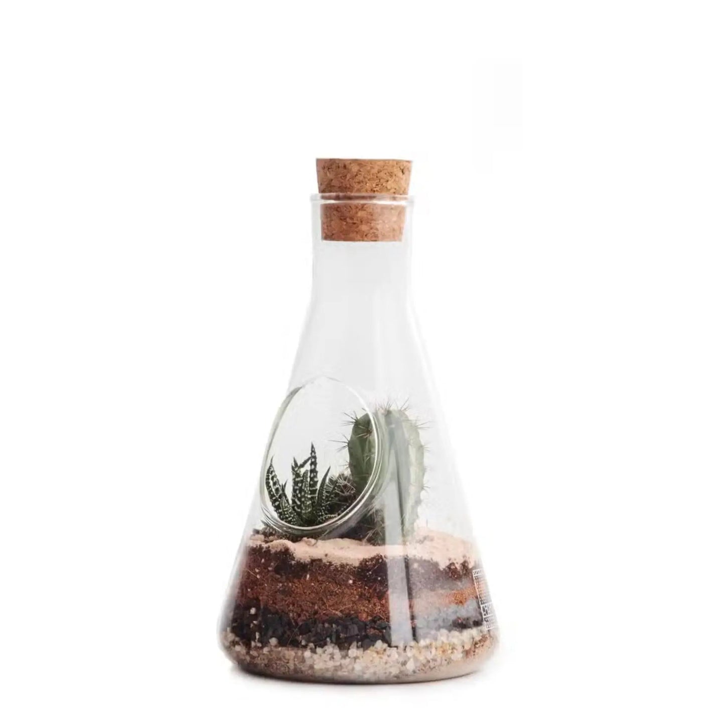 Buy Suck UK Chemistry Terrarium Kit | Terrariums at Woven Durham