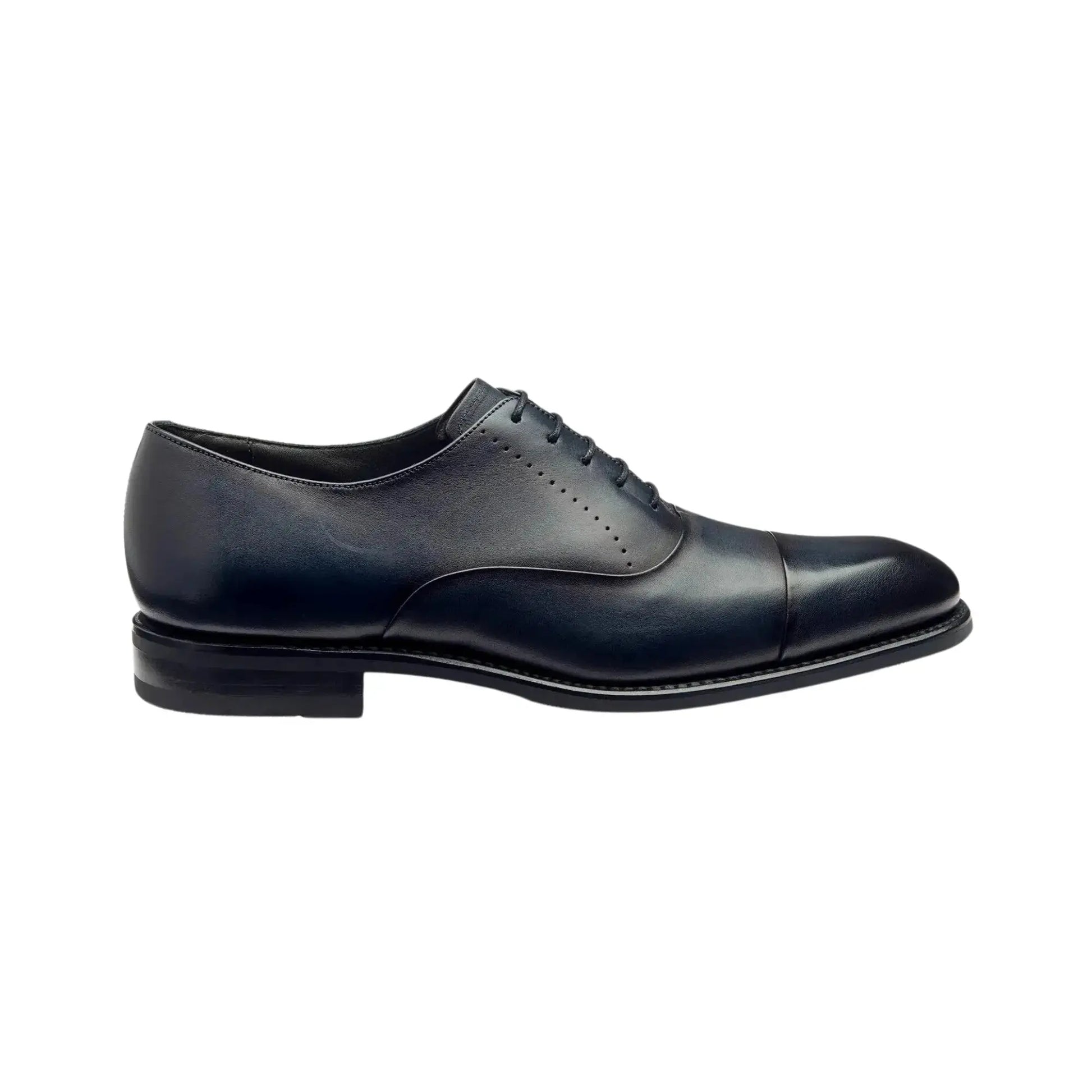 Buy Loake Phoenix Oxford Shoe - Navy | Oxford Shoess at Woven Durham